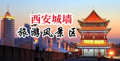 欧美鸡巴操逼免费网站中国陕西-西安城墙旅游风景区